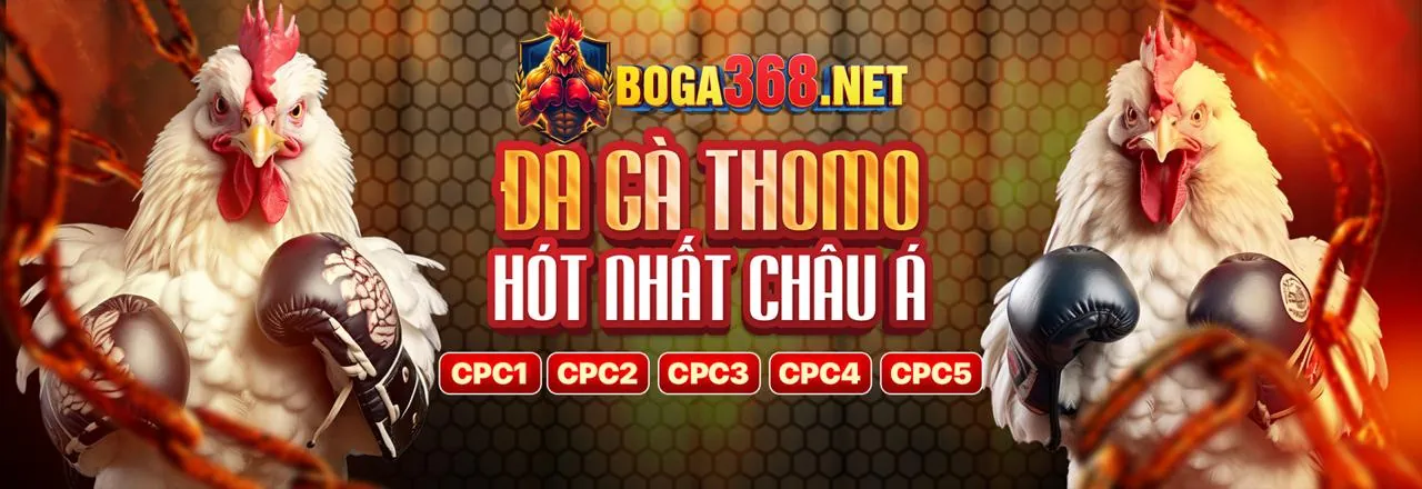 Đá gà trực tuyến r88 login