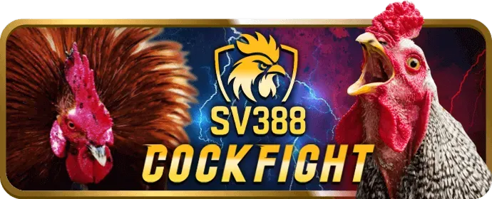 Ưu đãi hàng tuần và hoàn trả cao r88 login